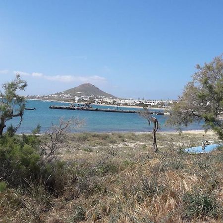 Chez Irene Sweet Pension Naxos City Zewnętrze zdjęcie