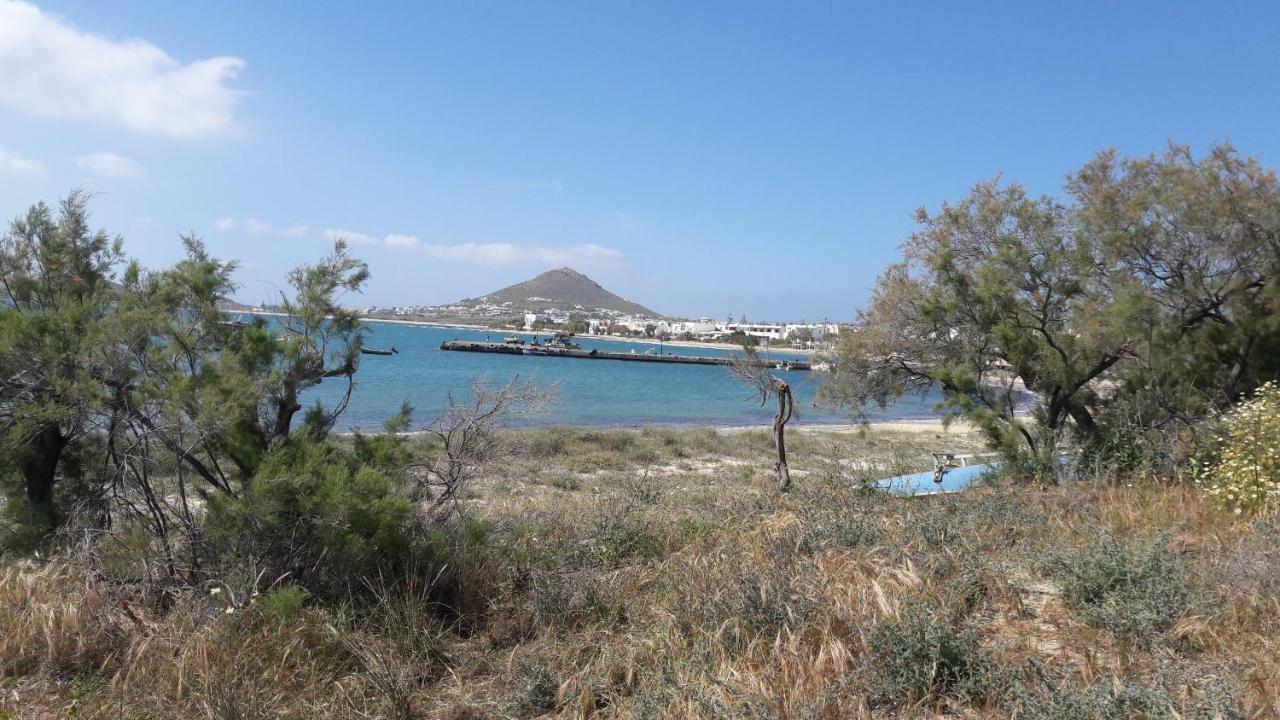 Chez Irene Sweet Pension Naxos City Zewnętrze zdjęcie